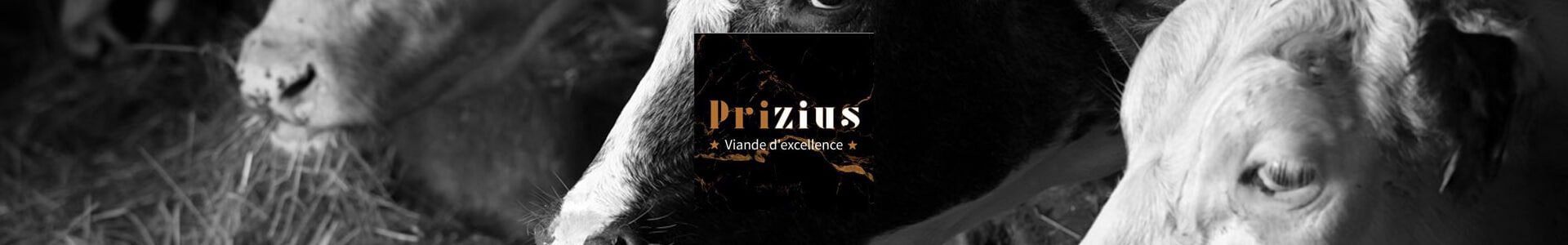 Prizius